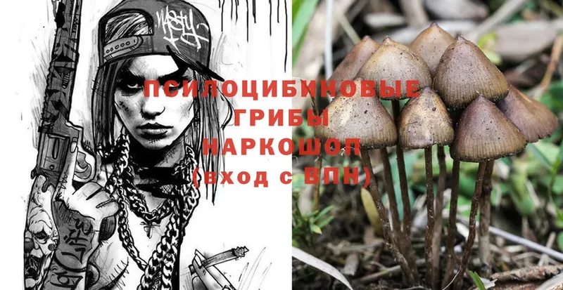 Галлюциногенные грибы Magic Shrooms  магазин продажи наркотиков  Гагарин 